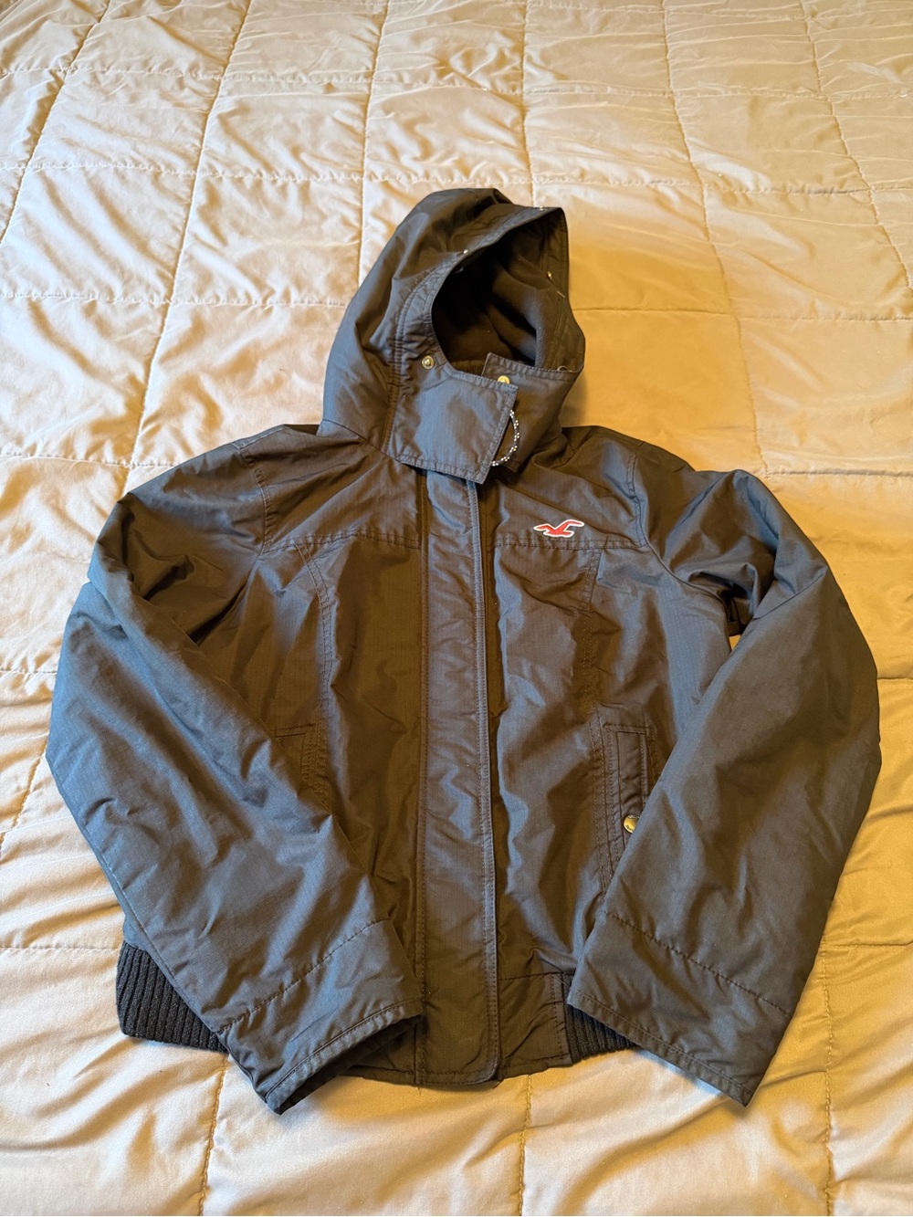 Hollister Kids Black Hooded Jacket
